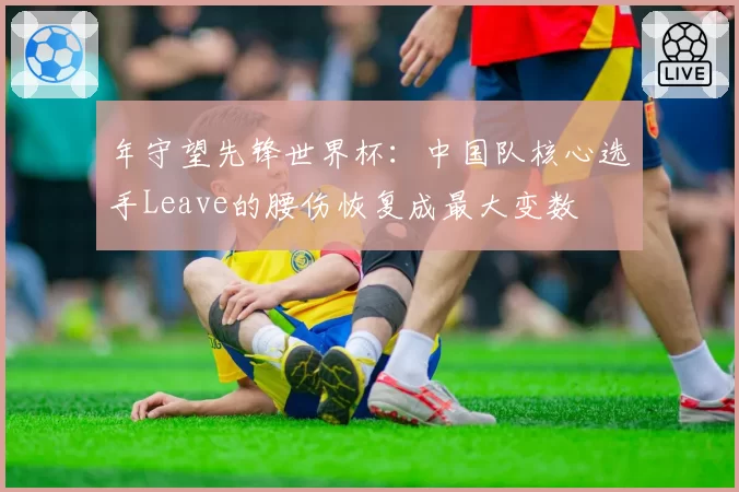 年守望先锋世界杯:中国队核心选手Leave的腰伤恢复成最大变数