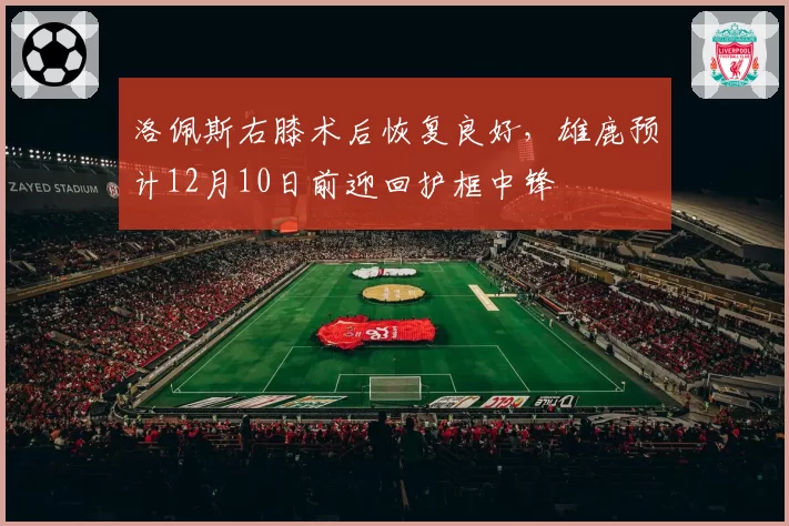 洛佩斯右膝术后恢复良好，雄鹿预计12月10日前迎回护框中锋